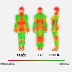 Mapa bólu: czy tatuaż na plecach boli? Czerwone obszary oznaczają duży ból, zielone brak bólu.