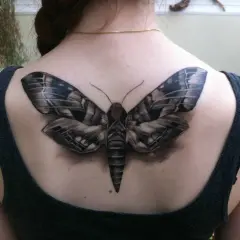Realistyczny tatuaż ćmy na plecach. Symbolizuje transformację, intuicję i mądrość.