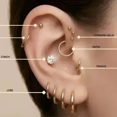 Ucho z licznymi kolczykami: płaski, helix, forward helix, daith, tragus, lobe. Widać też kolczyk w conchu, który przypomina orbital piercing.