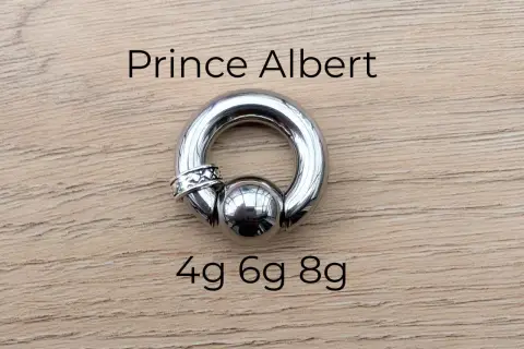 Stalowy kolczyk typu prince albert, z kulką i ozdobnym pierścieniem, rozmiary 4g, 6g, 8g.