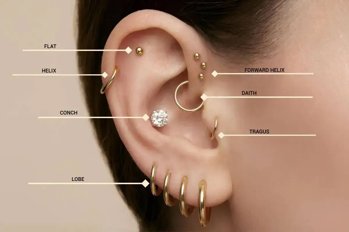 Ucho z wieloma złotymi kolczykami: flat, helix, conch, lobe, forward helix, daith i tragus. Snug piercing jest tu niepokazany.